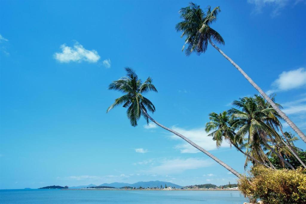 Отель Oyo 616 Bonita House Samui Бопхут Экстерьер фото
